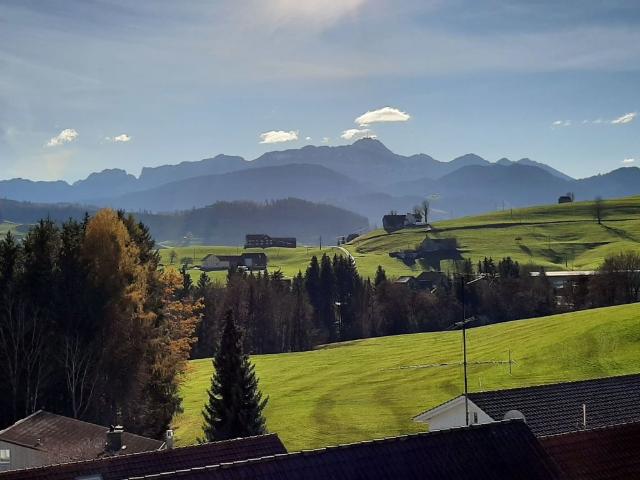 Renovierte Wohnung mit Balkon