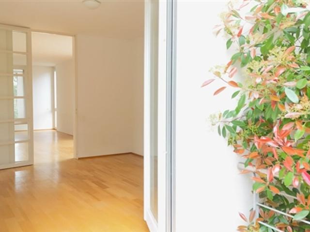 Renovierte Wohnung mit Cheminée, 2 Terrassen und Ziergarten Bruderholz