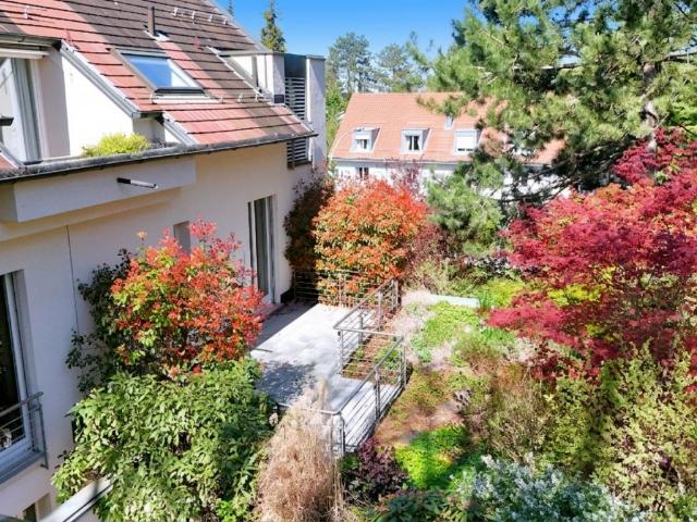 Renovierte Wohnung mit Cheminée, 2 Terrassen und Ziergarten Bruderholz