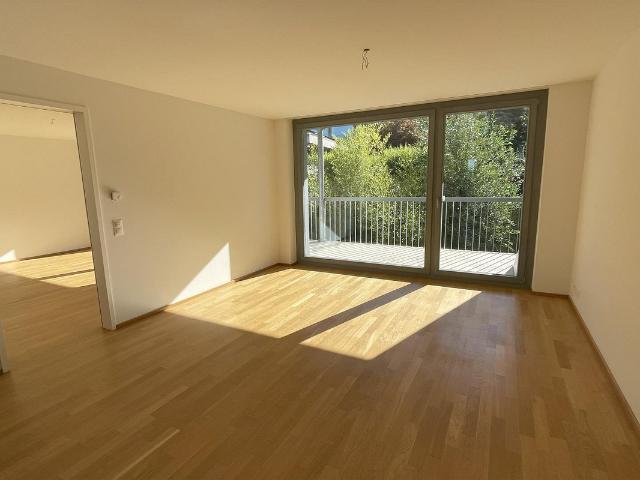 Renovierte Wohnung mit grosser Terrasse & Holzofen