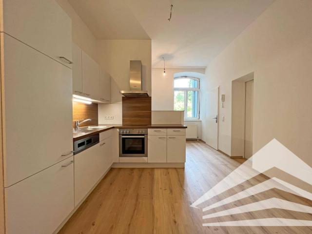 Renovierte 3 Zimmer Altbau Wohnung mit Küche in bester City Lage Nähe Landstraße