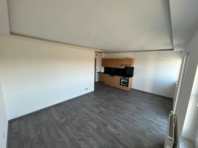 Renovierte 3 Zimmer Wohnung mit großer Terrasse