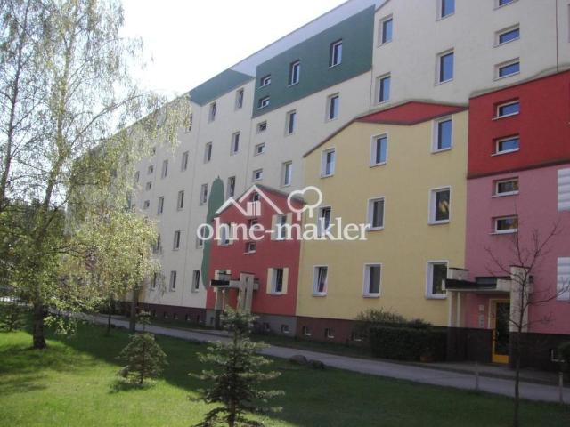 Renovierte 4 Zi. Whg mit Balkon u. EBK, Pilzheide in Walddrehna