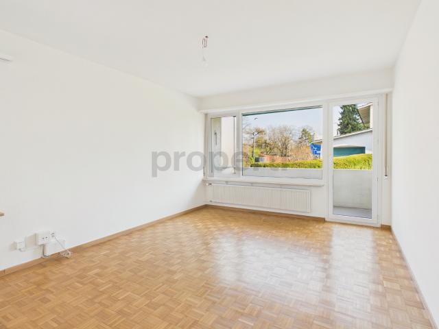 Renovierte 4 Zimmer Wohnung mit Balkon, Allschwil
