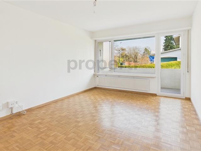 Renovierte 4 Zimmer Wohnung mit Balkon, Allschwil