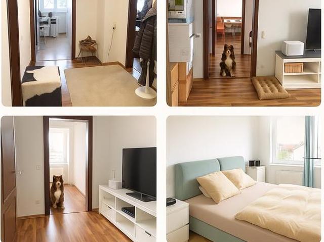 Renoviertes 3 Zimmer Appartment mit großem Balkon, TG Stelplatz