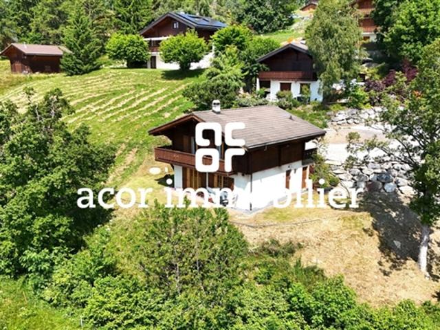 Renoviertes Chalet mit Aussicht und Ruhe in Arbaz!