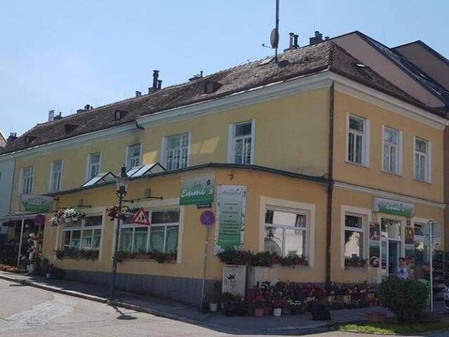 Renovierungsbedürftig! Wohnen und Arbeiten kombiniert in zentraler Lage in Brunn am Gebirge!