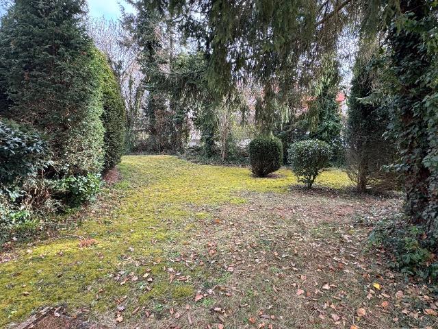 Renovierungsbedürftige 2 Zi. Gartengeschoß ETW in begehrter Lage von Stuttgart Degerloch