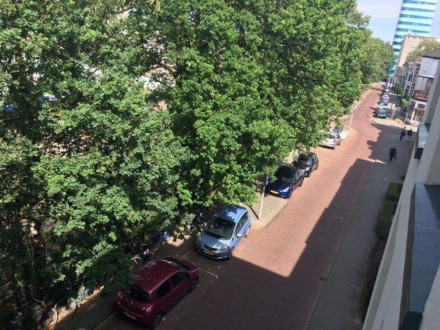 Renssenstraat