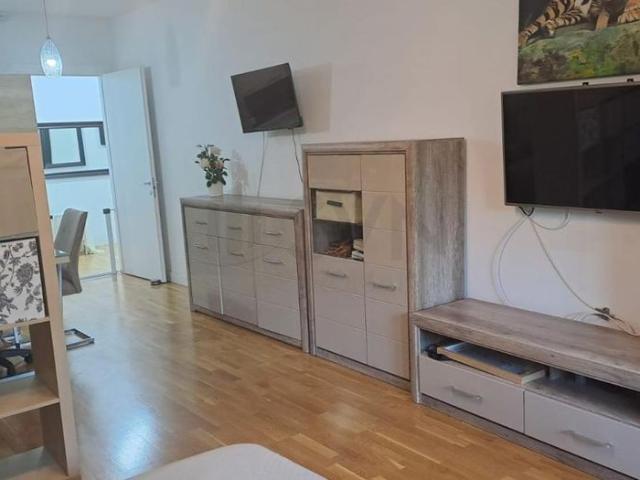 REA1027144 Studio de Inchiriat I Parcare Inclusa I Iancu Nicolae