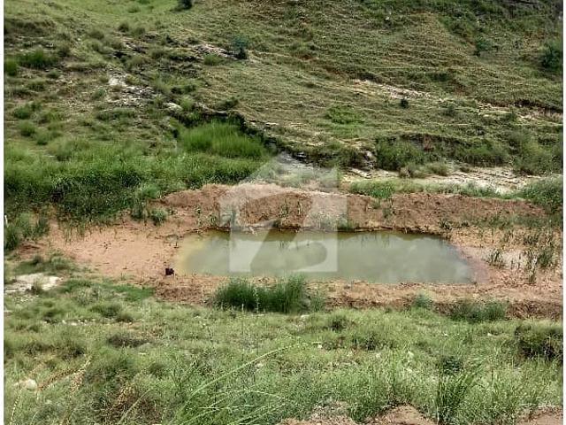 Ready To Buy A Agricultural Land on Jhelum Road tehsil chakwal
