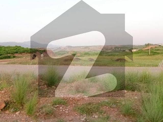 Ready To Buy A Residential Plot 1 Kanal In C 14
