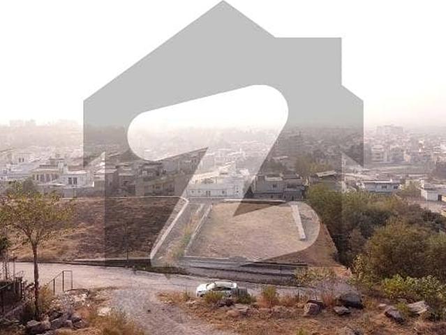 Ready To sale A Commercial Plot 69 Marla In Bani Gala
