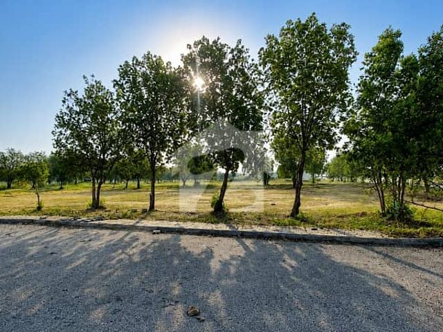 Ready Plot 8 Marla