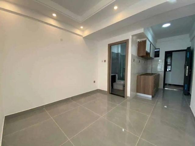 Ready Studio Apartment For Sale in Lavington