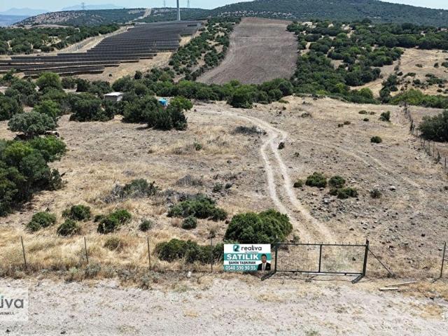 REALİVA'DAN BERGAMA ÖRLEMİŞTE YOLA CEPHE SATILIK TARLA