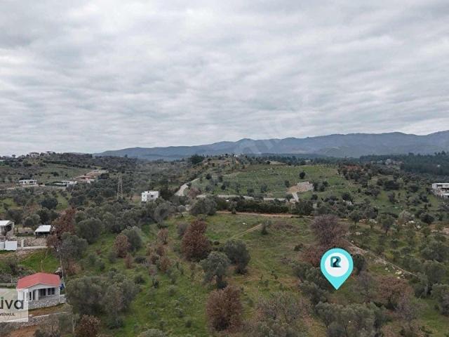 REALİVADAN İZMİR MENDERES'DE SATILIK TARLA