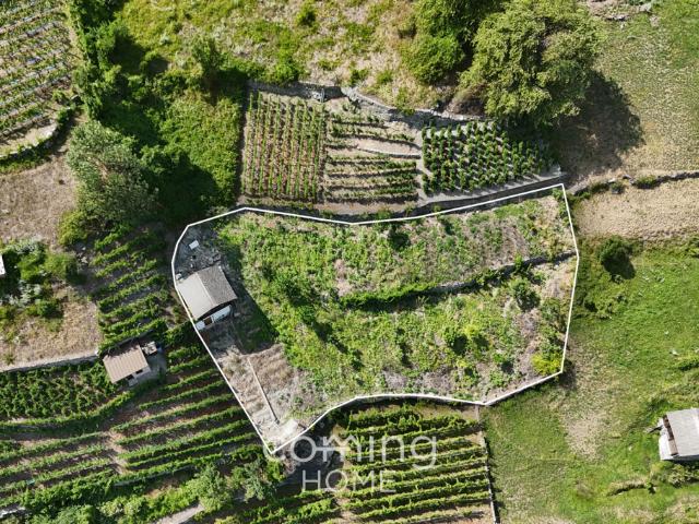 Rebparzelle mit Rebhaus in Stalden Weinbau im Vispertal