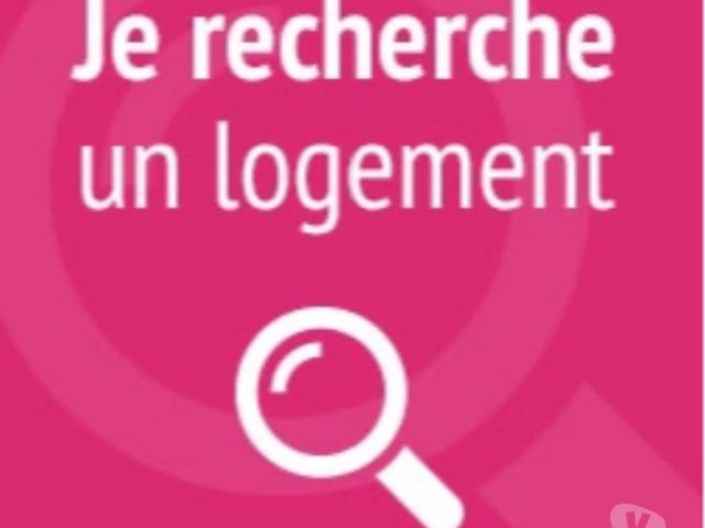 Recherche logement profil sérieux en CDI