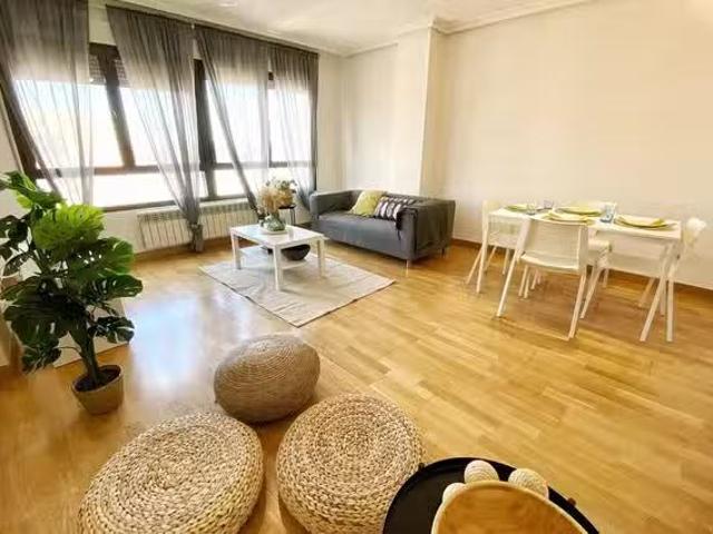 Bonito Piso de 1 habitación en Paseo de los Melancólicos