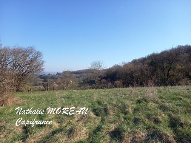 Reclesne Vente Terrain 71