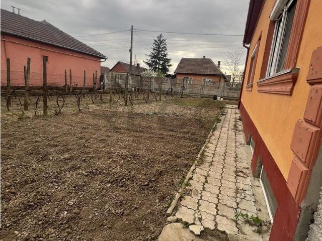 RECO Vila P+M cu 3 camere în Biharia