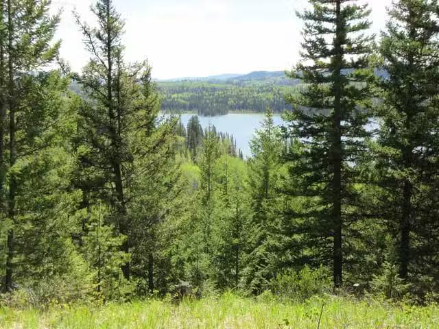 Recreational Property for sale in Bridge Lake, 100 Mile House.