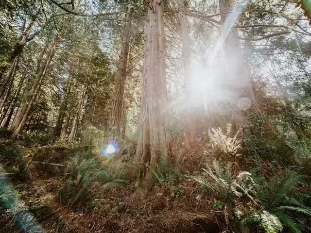 Recreational Property for sale in Sechelt, Sunshine Coast, 573.