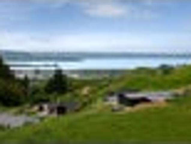 Redwoods at Your Doorstep, Lake Rotorua in View