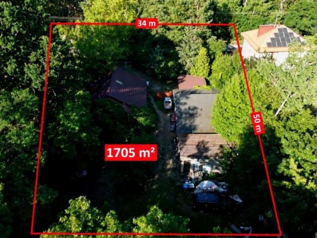 Średnia 1 705 m², Wołomin