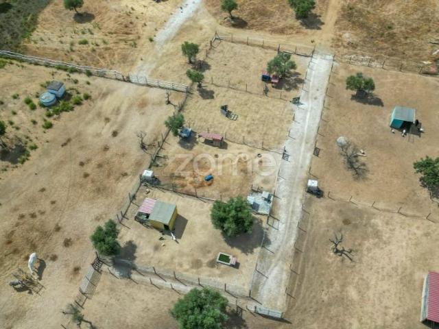 Redondo Redondo 97736584