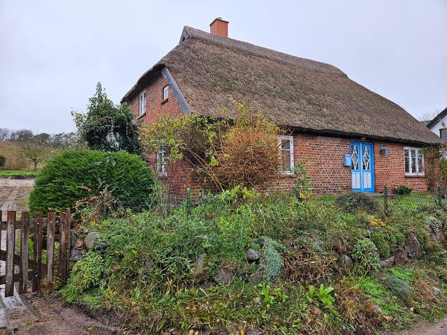 Reetgedecktes Bauernhaus mit Denkmal AfA