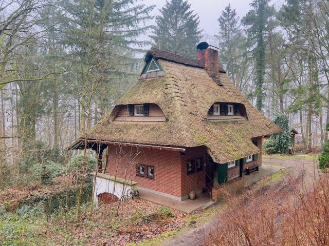 Reetdach Landhaus am Drüsensee mit eigenem Wald