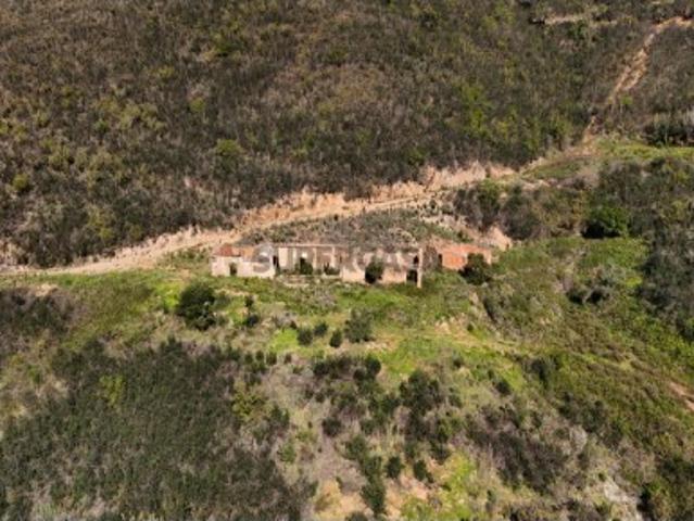 Refúgio Natural: 48ha com 2 Ruínas e Ribeira com Cascatas