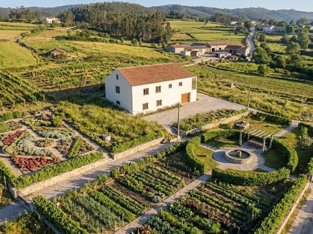 Refúgio Tranquilo no Concelho de Figueiró dos Vinhos