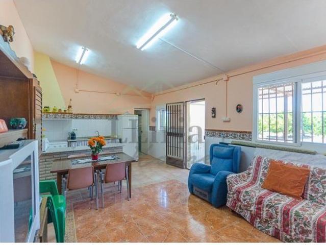 Ref. 04370. Finca agrícola de 31.000 m2 con explotación de naranjos en producción y vivienda – Vill