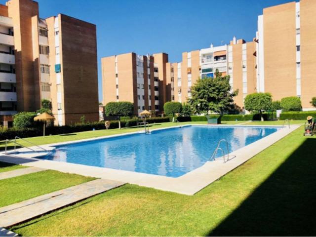REF. 1235 PISO DE 3 DORMITORIOS CON PISCINA EN ARROYO DE LA MIEL