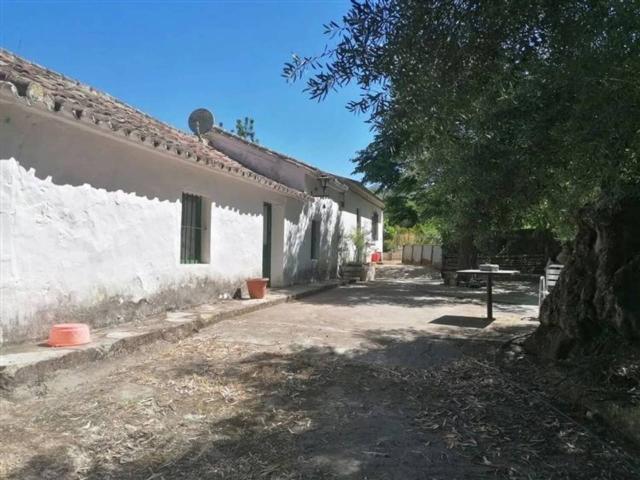 Ref. 355 Finca con dos casas de campo en Jubrique, Málaga, Andalucía