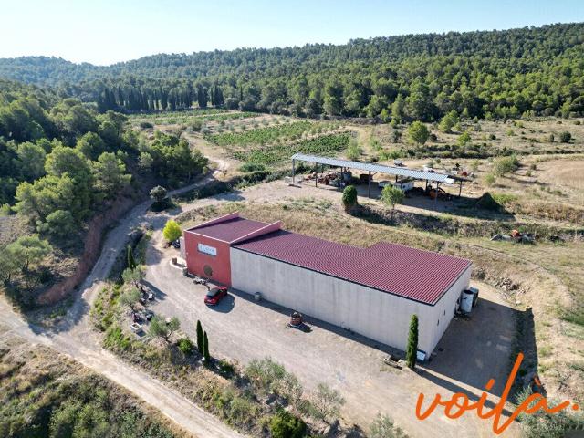 Ref Vignoble Minervois Campagne avec bâtiment de + 68. 450m² Narbonne