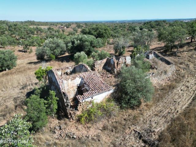 Refgio campestre em Abela
