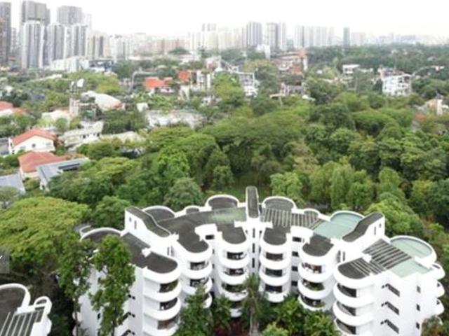 Regency Park D10, Condominium