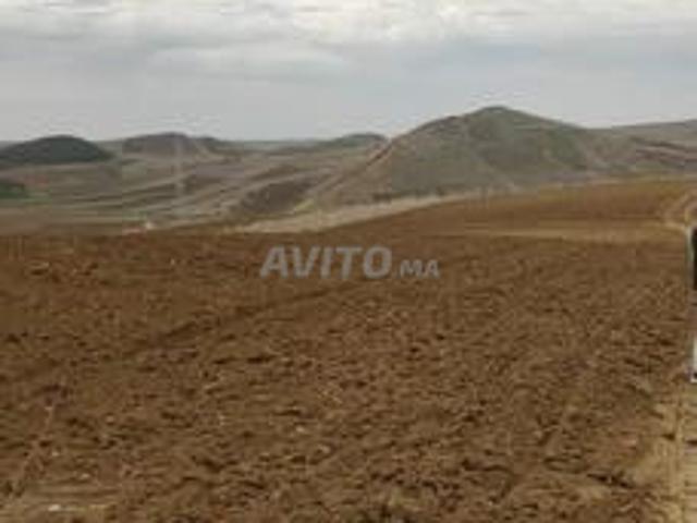 Région de Larache