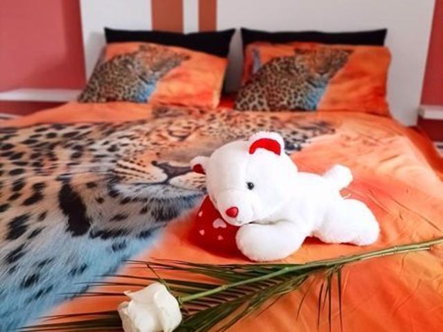 Regim hotelier Deva