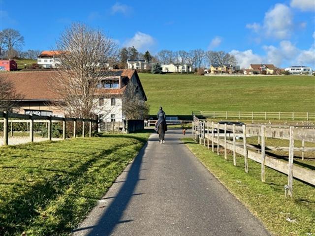 Reitschule zu verkaufen im Kanton Freiburg