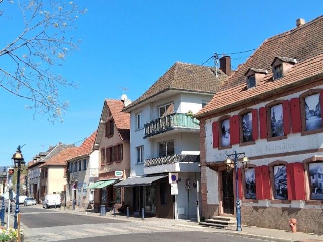 Reichshoffen Vente Appartement 67