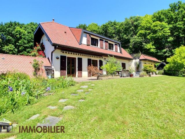 Reignier Vente Maison 74