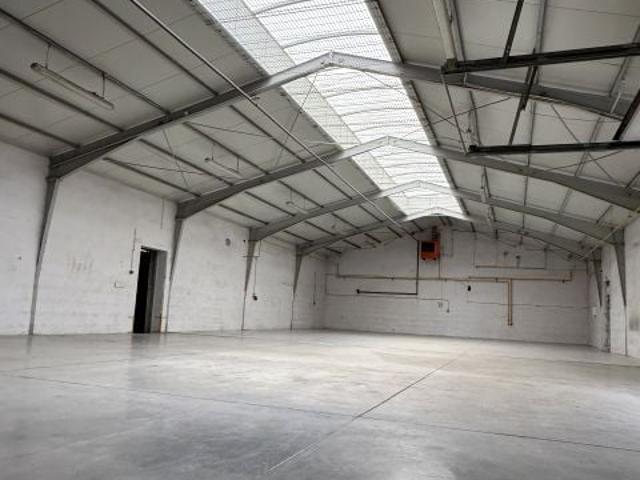 Rejtana 380,61 m², Luboń