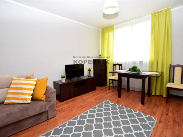 Reja 26 m², Toruń