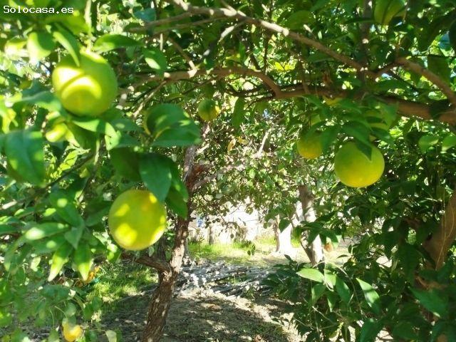 Relax y Naturaleza en la huerta de Murcia